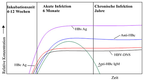 Analysenverzeichnis Ihre virtuelle Arztpraxis